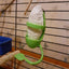 Pet Parrot Feeder Hanging Cage Fruit Vegetable Container Feeding Cup Cuttlebone Stand Holder Pet Cage Accessories Supplies - Slobuy