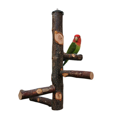 Pet Parrot Stand Solid Wood Standing Stick Pole Biting Molar Claw Grinding Toy Bird Cage Supplies Pets Product Bird Accessories - Slobuy