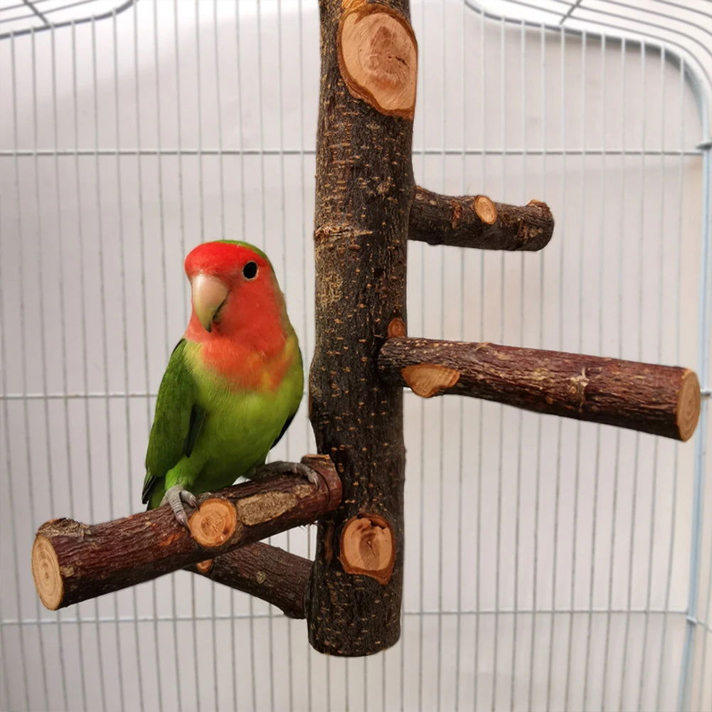 Pet Parrot Stand Solid Wood Standing Stick Pole Biting Molar Claw Grinding Toy Bird Cage Supplies Pets Product Bird Accessories - Slobuy