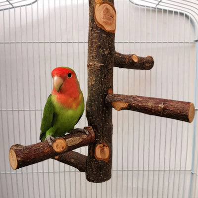 Pet Parrot Stand Solid Wood Standing Stick Pole Biting Molar Claw Grinding Toy Bird Cage Supplies Pets Product Bird Accessories - Slobuy