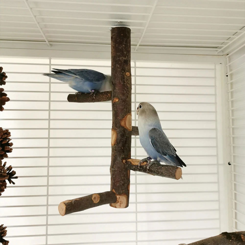 Pet Parrot Stand Solid Wood Standing Stick Pole Biting Molar Claw Grinding Toy Bird Cage Supplies Pets Product Bird Accessories - Slobuy