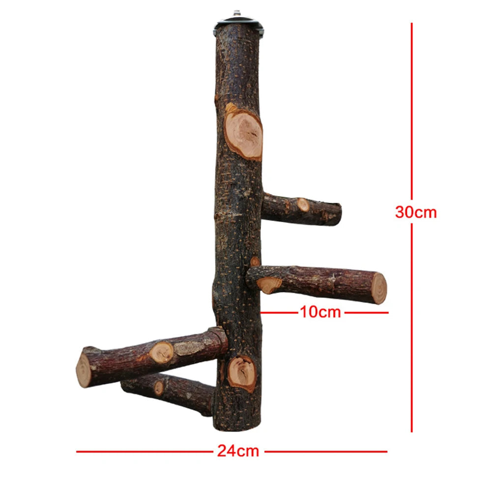Pet Parrot Stand Solid Wood Standing Stick Pole Biting Molar Claw Grinding Toy Bird Cage Supplies Pets Product Bird Accessories - Slobuy