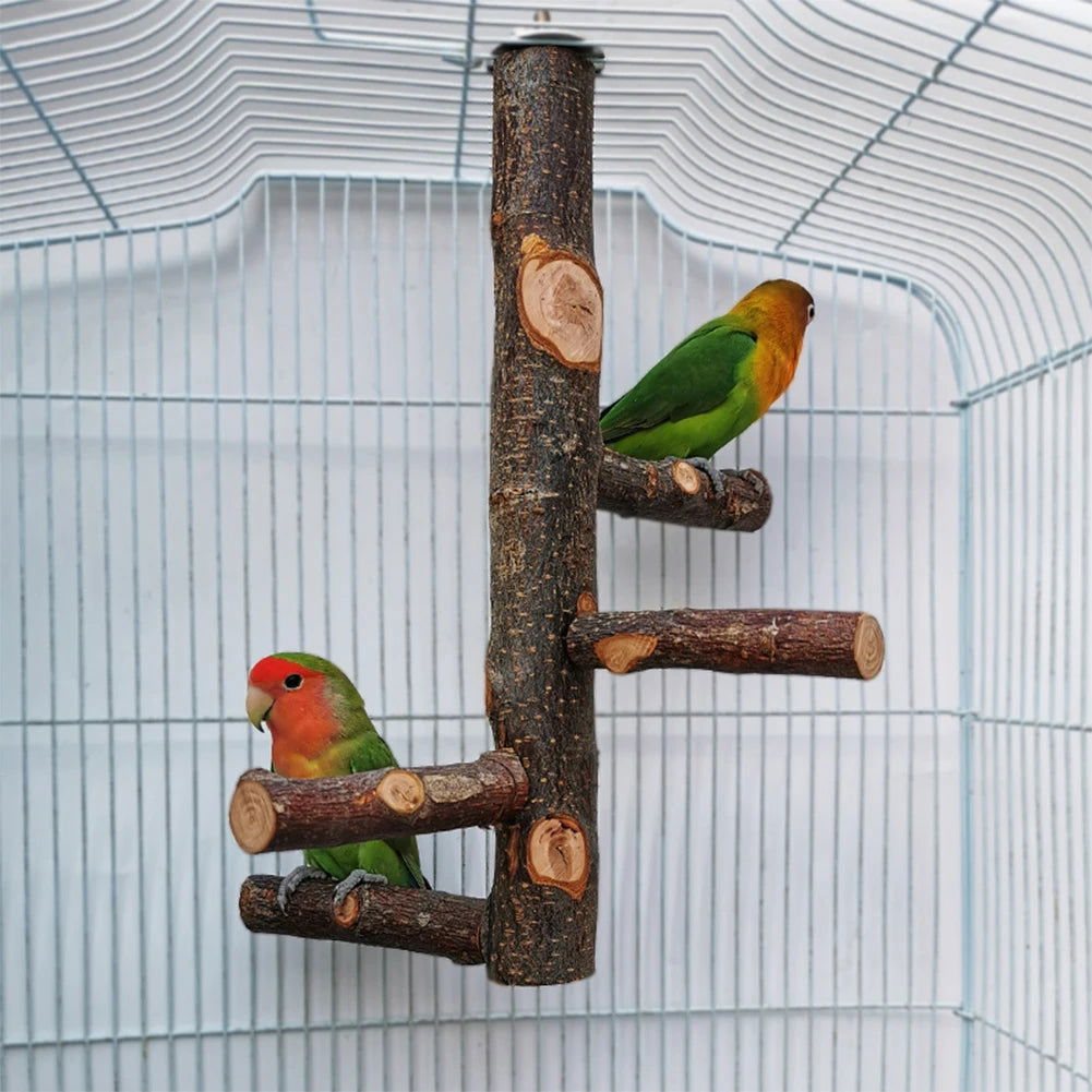 Pet Parrot Stand Solid Wood Standing Stick Pole Biting Molar Claw Grinding Toy Bird Cage Supplies Pets Product Bird Accessories - Slobuy
