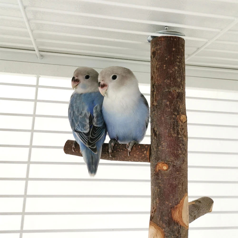 Pet Parrot Stand Solid Wood Standing Stick Pole Biting Molar Claw Grinding Toy Bird Cage Supplies Pets Product Bird Accessories - Slobuy