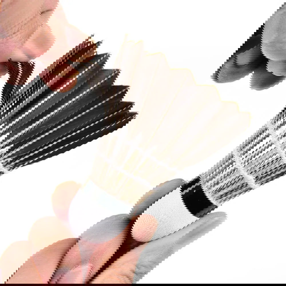 Professional Badminton Shuttlecock Black Goose Feather Badminton Shuttlecock Training Sport Badminton Ball - Slobuy