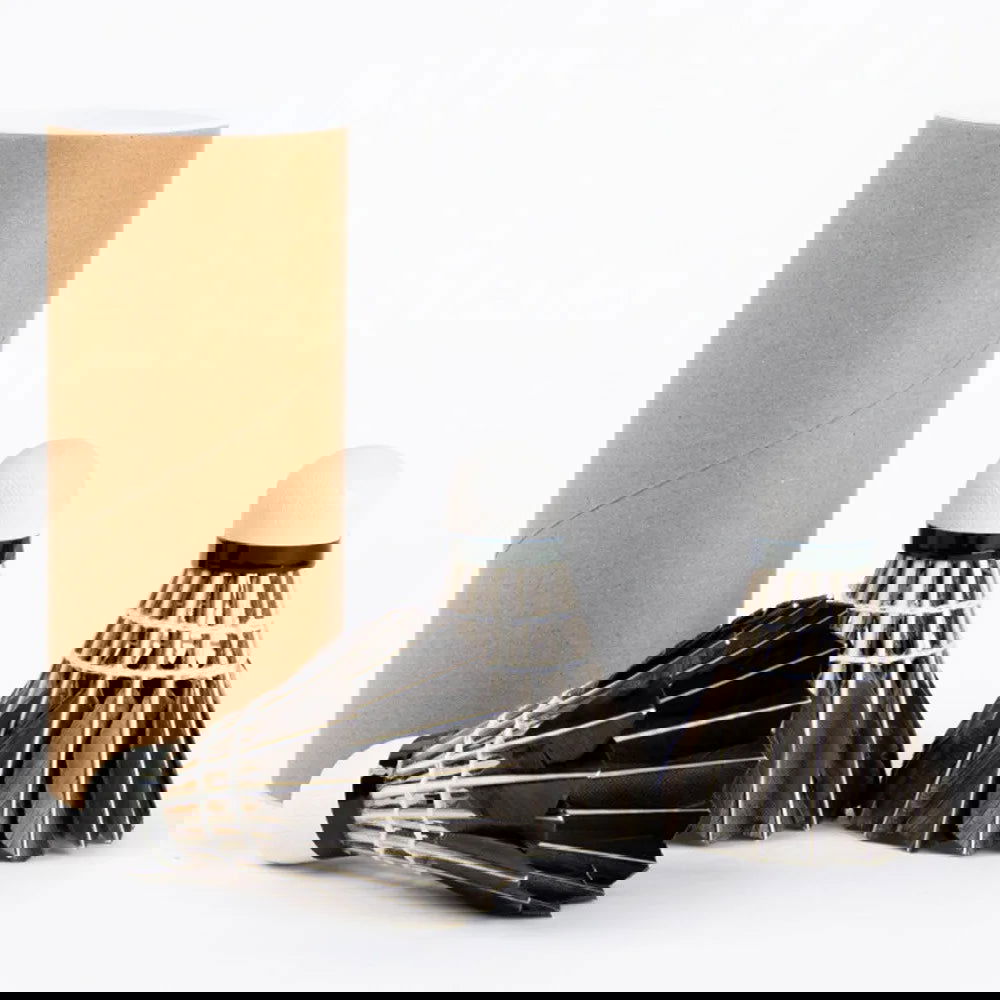Professional Badminton Shuttlecock Black Goose Feather Badminton Shuttlecock Training Sport Badminton Ball - Slobuy