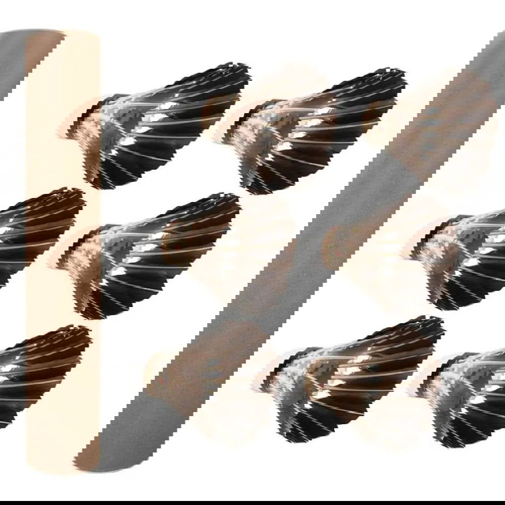 Professional Badminton Shuttlecock Black Goose Feather Badminton Shuttlecock Training Sport Badminton Ball - Slobuy