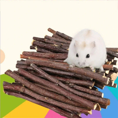 Professional Hamster Rabbit Teeth Grinding Apple Tree Stick Minerals Molar Stone Toys for Chinchilla Hamster PetToys accessories - Slobuy