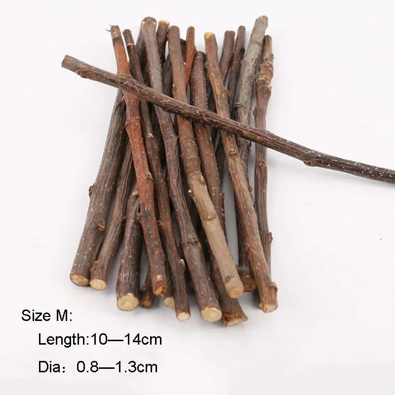 Professional Hamster Rabbit Teeth Grinding Apple Tree Stick Minerals Molar Stone Toys for Chinchilla Hamster PetToys accessories - Slobuy