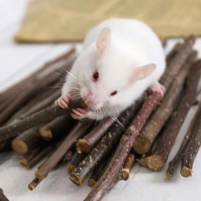 Professional Hamster Rabbit Teeth Grinding Apple Tree Stick Minerals Molar Stone Toys for Chinchilla Hamster PetToys accessories - Slobuy