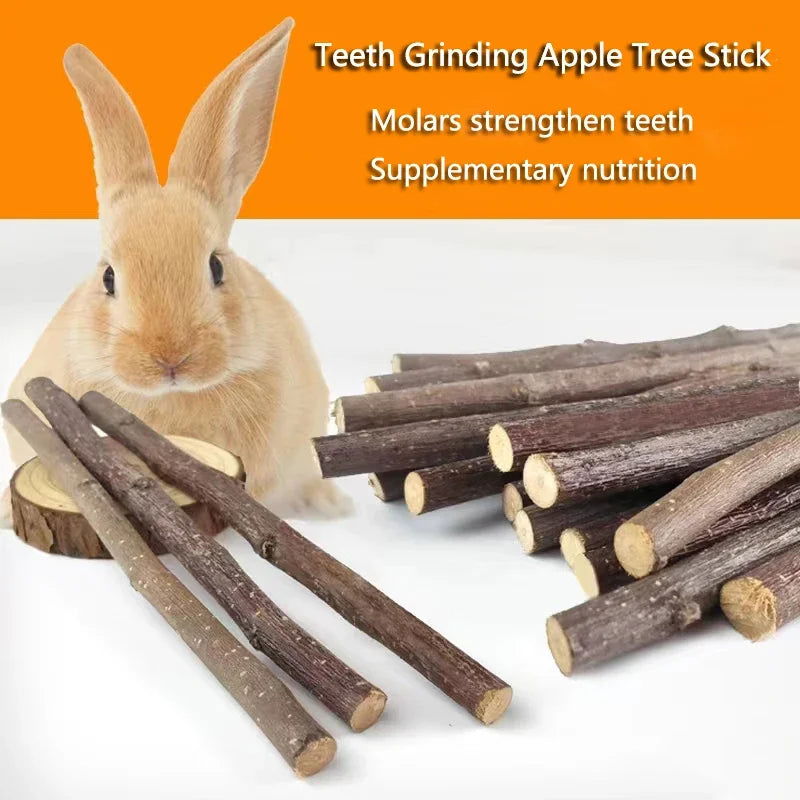 Professional Hamster Rabbit Teeth Grinding Apple Tree Stick Minerals Molar Stone Toys for Chinchilla Hamster PetToys accessories - Slobuy