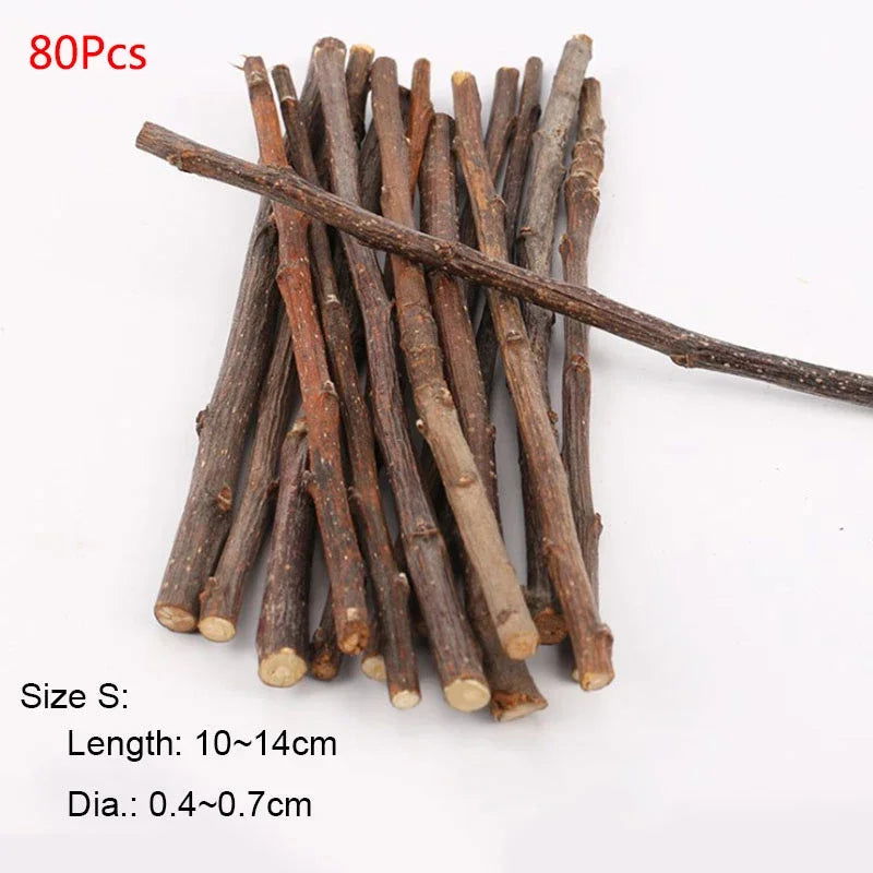 Professional Hamster Rabbit Teeth Grinding Apple Tree Stick Minerals Molar Stone Toys for Chinchilla Hamster PetToys accessories - Slobuy