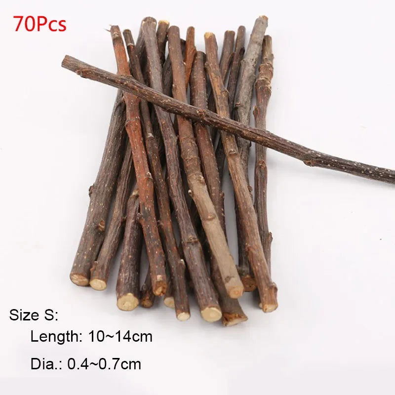 Professional Hamster Rabbit Teeth Grinding Apple Tree Stick Minerals Molar Stone Toys for Chinchilla Hamster PetToys accessories - Slobuy