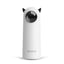 ROJECO Automatic Cat Toys Interactive Smart Teasing Pet LED Laser Indoor Cat Toy Accessories Handheld Electronic Cat Toy For Dog - Slobuy