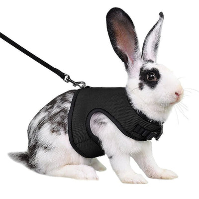 Rabbit Harness and Leash Set Bunny Pet Accessories Vest Harnesses Rabbit Leashes for Outdoor Walking Pets Supplies - Slobuy