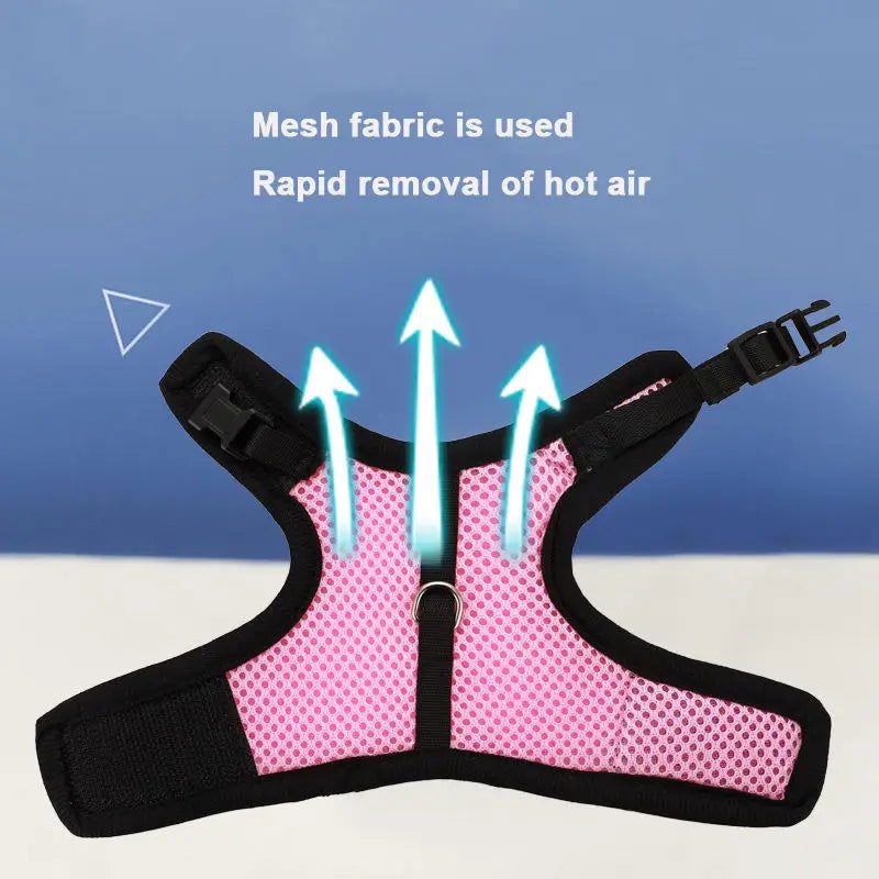 Rabbit Harness and Leash Set Bunny Pet Accessories Vest Harnesses Rabbit Leashes for Outdoor Walking Pets Supplies - Slobuy