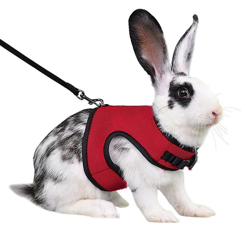 Rabbit Harness and Leash Set Bunny Pet Accessories Vest Harnesses Rabbit Leashes for Outdoor Walking Pets Supplies - Slobuy