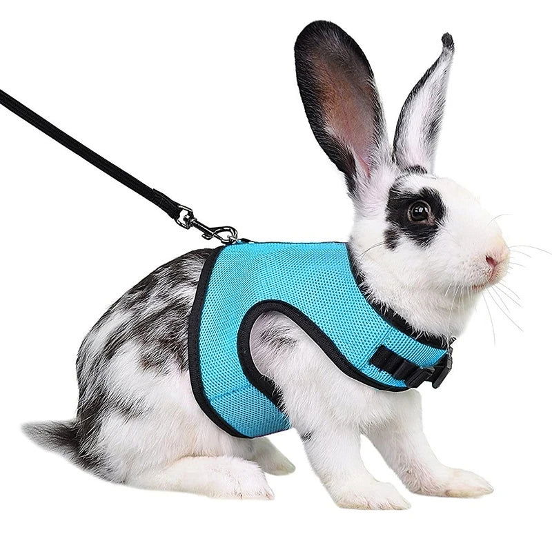 Rabbit Harness and Leash Set Bunny Pet Accessories Vest Harnesses Rabbit Leashes for Outdoor Walking Pets Supplies - Slobuy