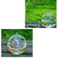 Round/Rectangle Shape Hanging Glass Aquarium Fish Tank Fish Bowl Transparent Vase Ornament With Rack Holder Home Decoration - Slobuy