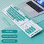 SKYLION H300 Wired 104 Keys Membrane Keyboard Many Kinds of Colorful Lighting Gaming and Office For Windows and IOS System - Slobuy