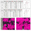 Seamless Tie Dye Scrunch Yoga Leggings For Women High Waist Push Up Gym Tights Tummy Control Workout Sport Fitness Pants Ladies - Slobuy