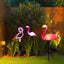 Solar Flamingo Light LED Outdoor Courtyard Lamp Garden Light Waterproof Stake Light Pathway Decor Solar Patio Ground Lantern - Slobuy