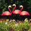 Solar Flamingo Light LED Outdoor Courtyard Lamp Garden Light Waterproof Stake Light Pathway Decor Solar Patio Ground Lantern - Slobuy
