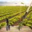Stand Up Weed Puller Claw Aluminum Alloy Manual Weeding Head Replacement Garden Digging Grass Shovel Tool Root Remover No Pole - Slobuy