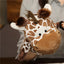 Stuffed Plush Animals Toys Hand Finger Story Puppet Kawaii Dolls Educational Baby Toys Lion Elephant Bunny Monkey Children GIft - Slobuy