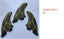 Surfing Accessories M Surf fins Thrusters set surfing fin for surfboard Tri set - Slobuy