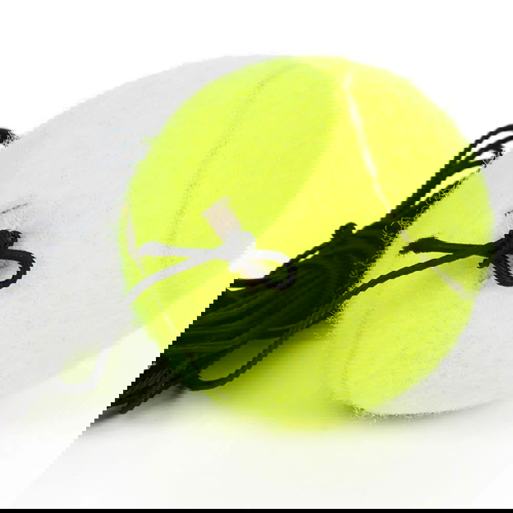 Tennis Trainer Training Primary Tool Exercise Tennis Ball Self-study Rebound Ball - Slobuy