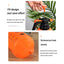 Thickened High-Pressure Garden Watering Can Watering Spray Disinfection Pneumatic Watering Can - Slobuy