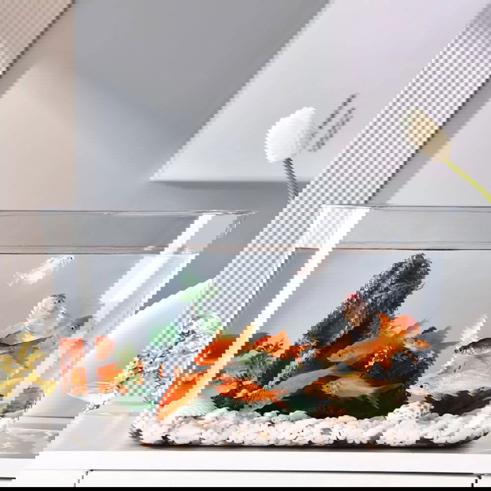 Transparent Explosion-proof Plastic Fish Tank Fall Prevention PET Desktop Goldfish Bowl Small Ecological Water Tank - Slobuy