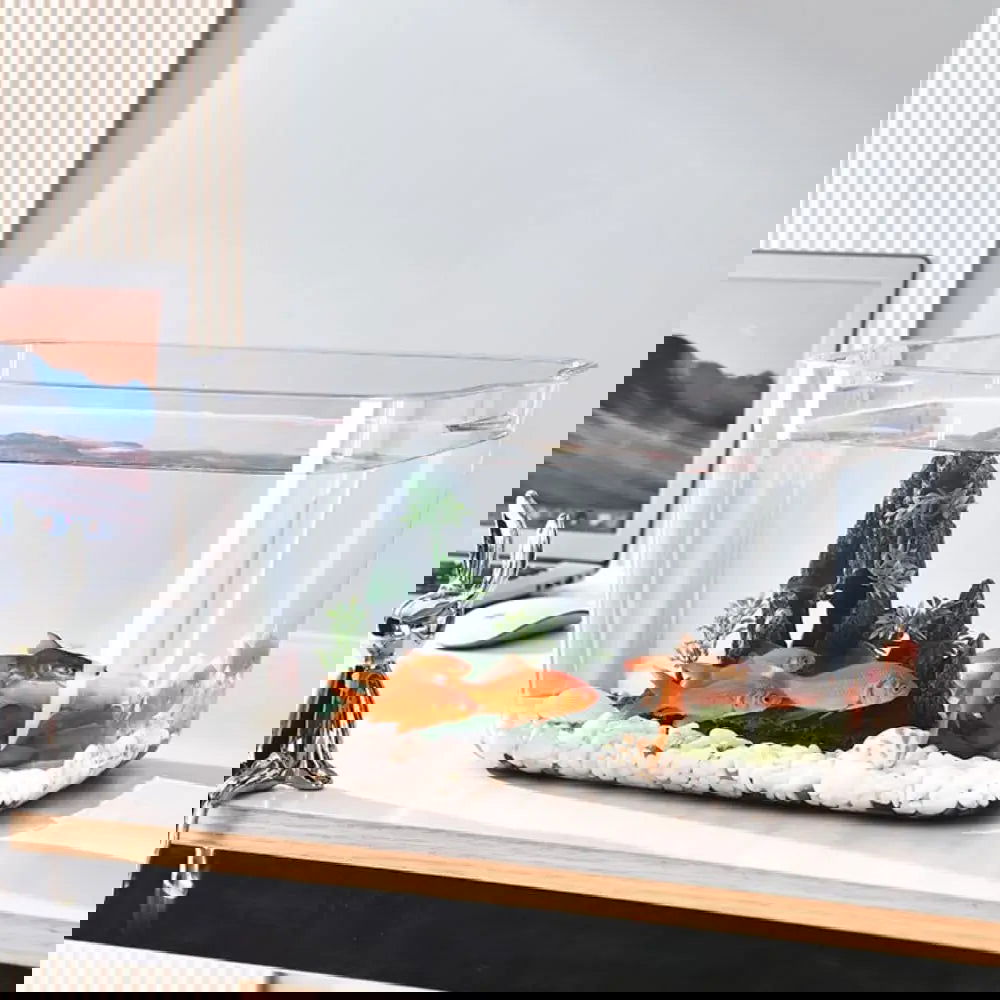 Transparent Explosion-proof Plastic Fish Tank Fall Prevention PET Desktop Goldfish Bowl Small Ecological Water Tank - Slobuy