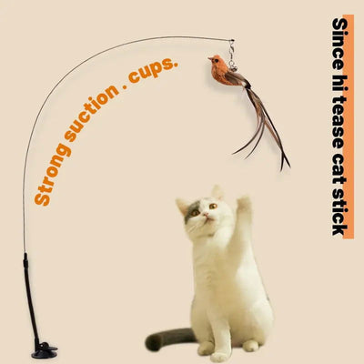 Upgraded Epoxy Sucker Steel Wire Long Rod Feather Cat Teasing Stick Cat Self Hi No Harmful Ingredients - Slobuy