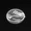 Wearable Breast Milk Collector Shell Silicone Breastfeeding Leakage Prevention Washable Anti-Overflow Pads Reusable Nursing Pads - Slobuy