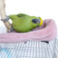 Winter Warm Bird Shawl Nest Corner Parrot Blanket Pet Small Animal Hanging Tent Cage Decoration For Parakeet Lovebird Cockatiel - Slobuy