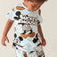 Cartoon Kids Set Mickey Mouse Printed Children's Clothes T-shirt Shorts 2pc/set Toddler Boys Short Sleeved Suit Kids Tracksuits - Slobuy